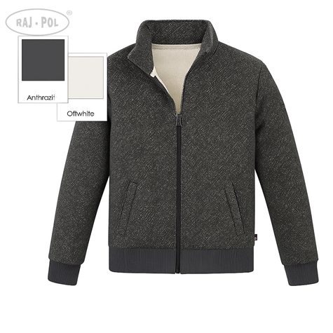 Roadsign Męska bluza dresowa ze stójką