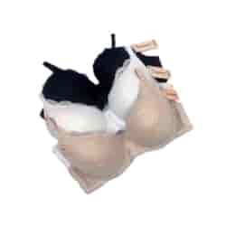 BIUSTONOSZ PÓŁKORONKA 760824/88309 D